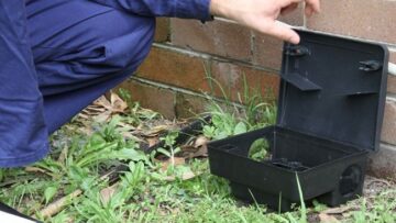 O que é desratização